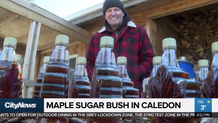 CityTV: Maple Sugar Bush in Caledon